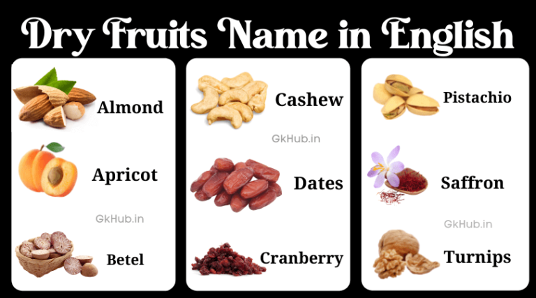 Dry Fruits Name In English Urdu And Hindi With Pdf Pi - vrogue.co