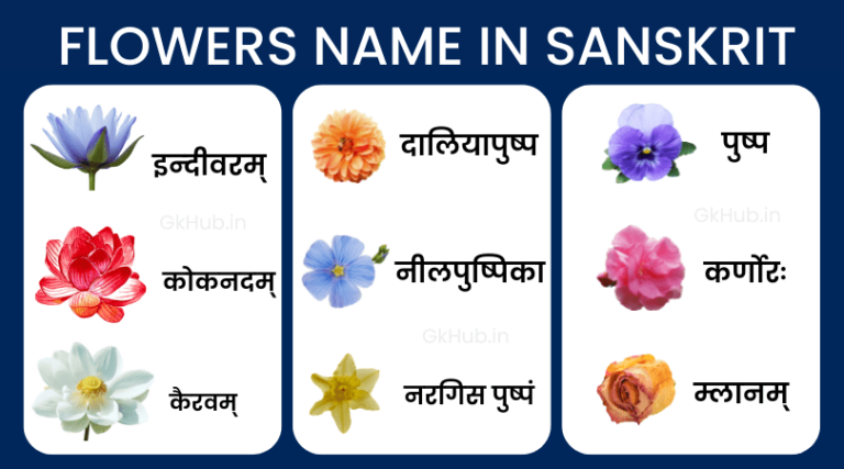 flowers-name-in-sanskrit-gk-hub