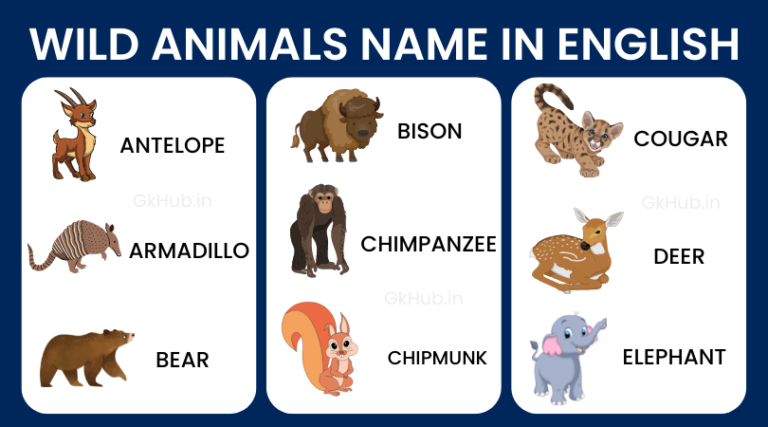 50+ Wild Animals Name List with Pictures in English