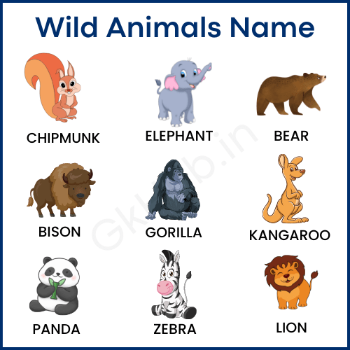 wild animals photos and information