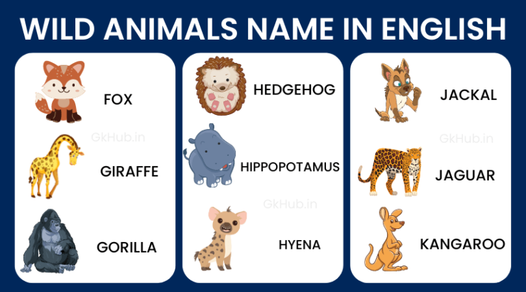 50+ Wild Animals Name List with Pictures in English